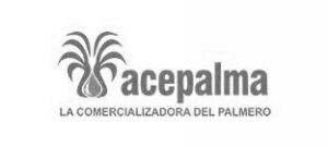 logo12