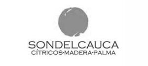 logo2